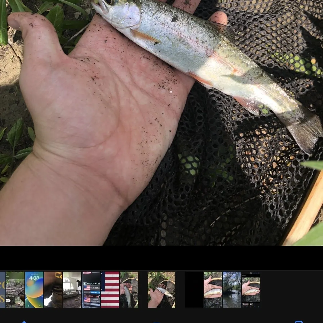 recently logged catches