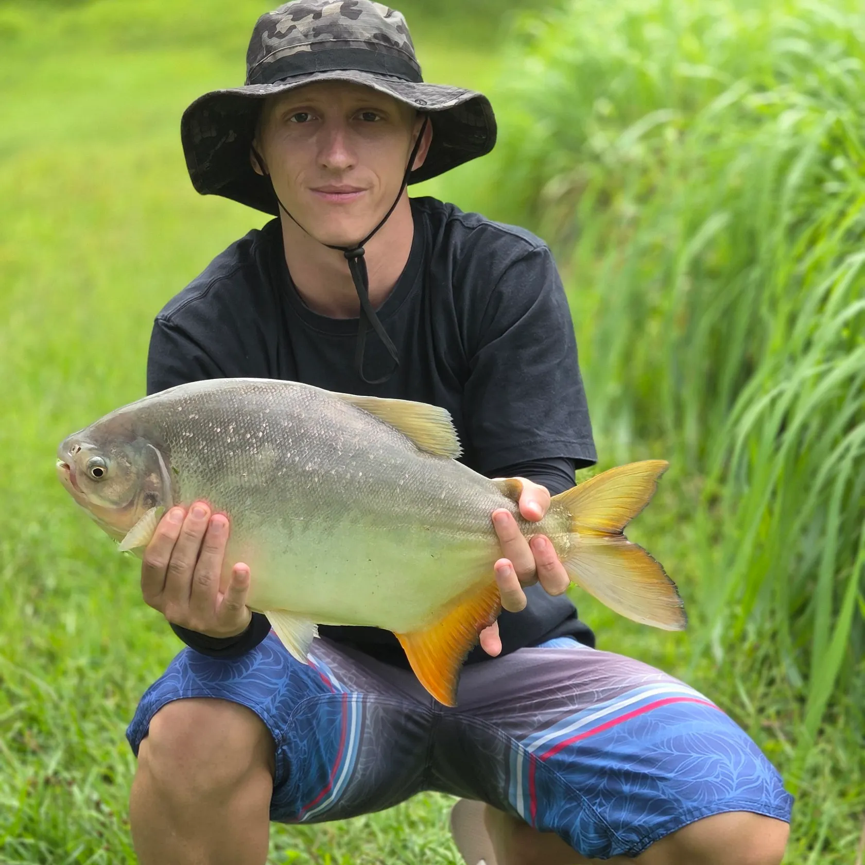 The most recent Small-scaled pacu catches on Fishbrain