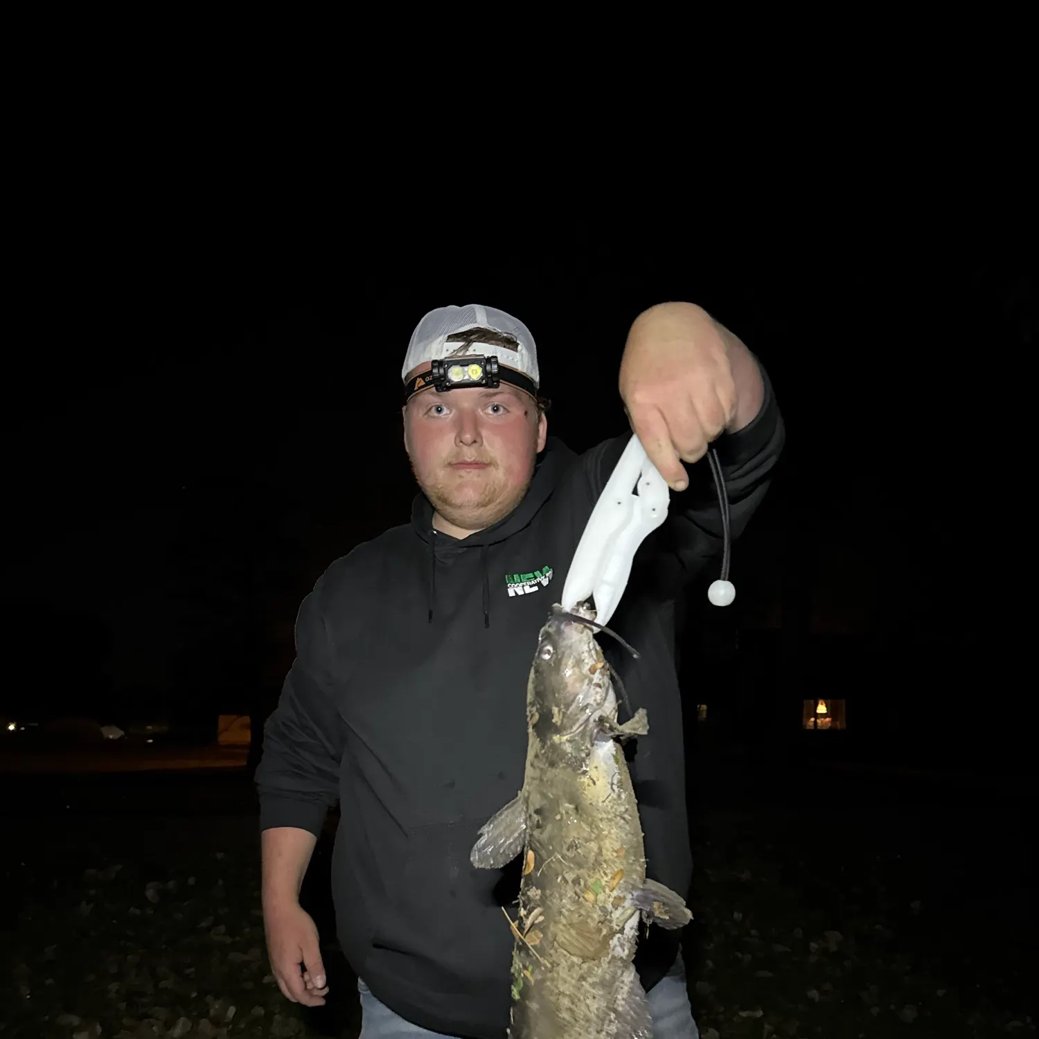 Channel catfish caught on Fishbrain