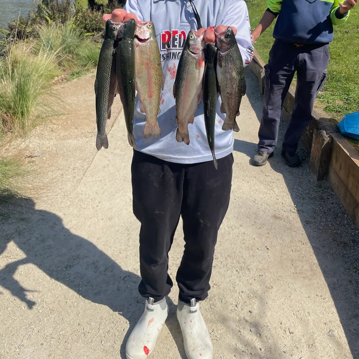 Rainbow trout caught on Fishbrain