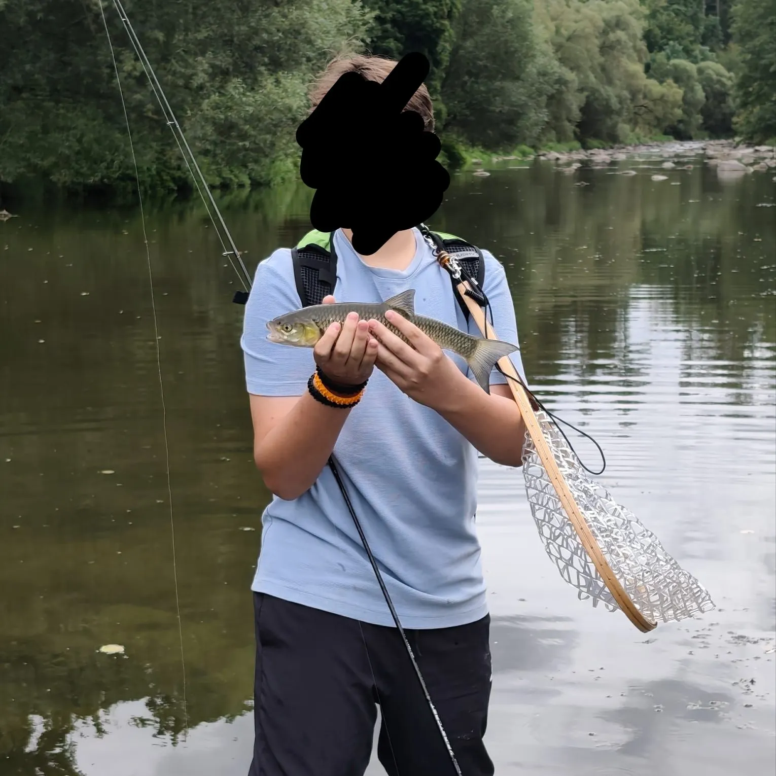 European chub caught on Fishbrain