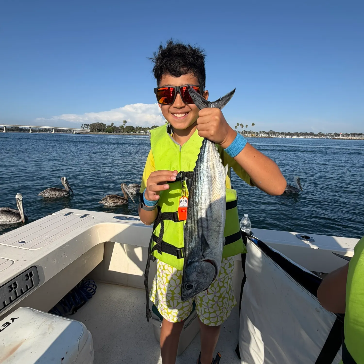 Pacific bonito caught on Fishbrain