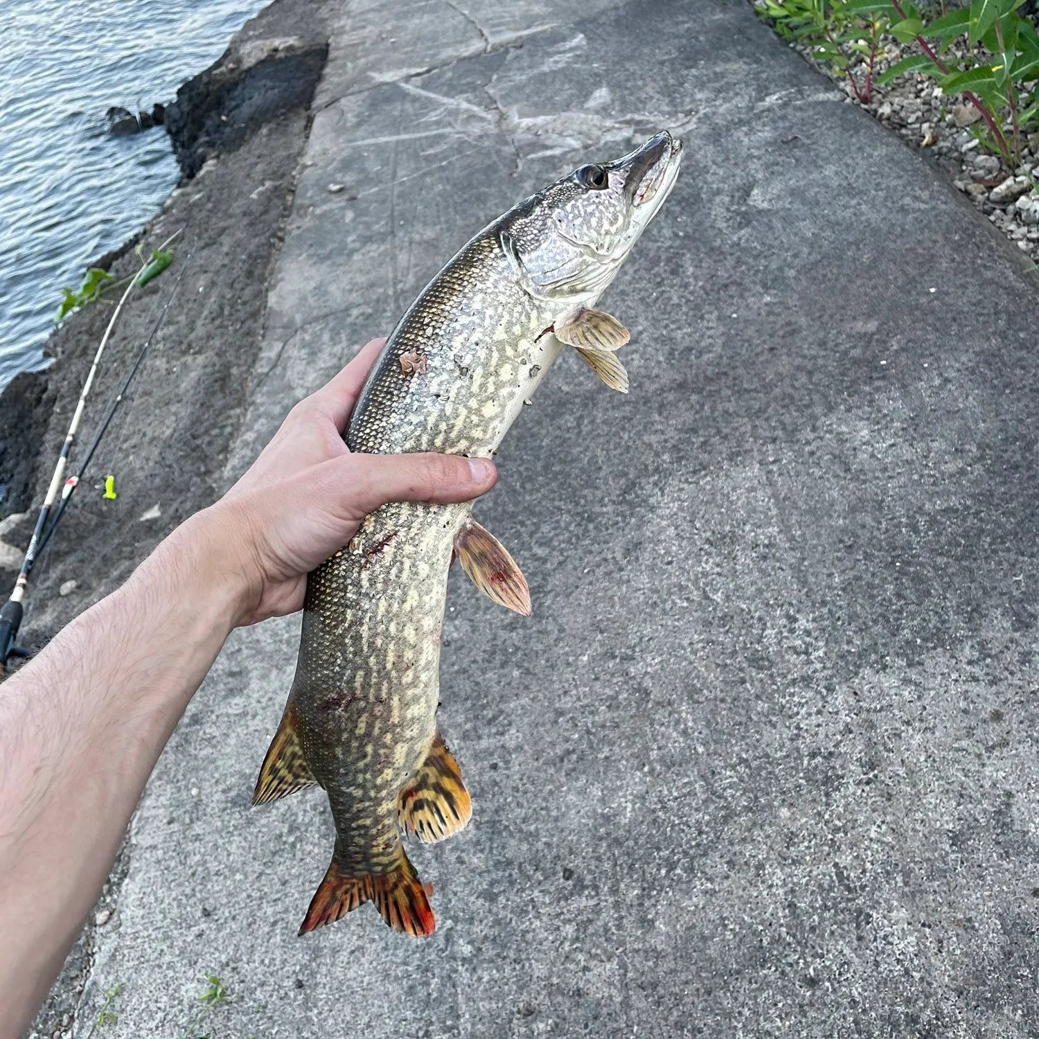 catch