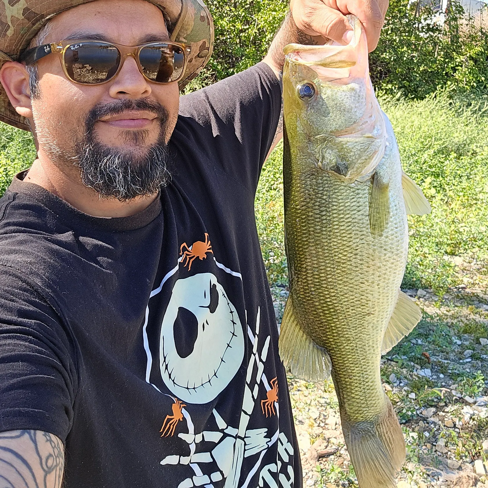 Largemouth bass caught on Fishbrain