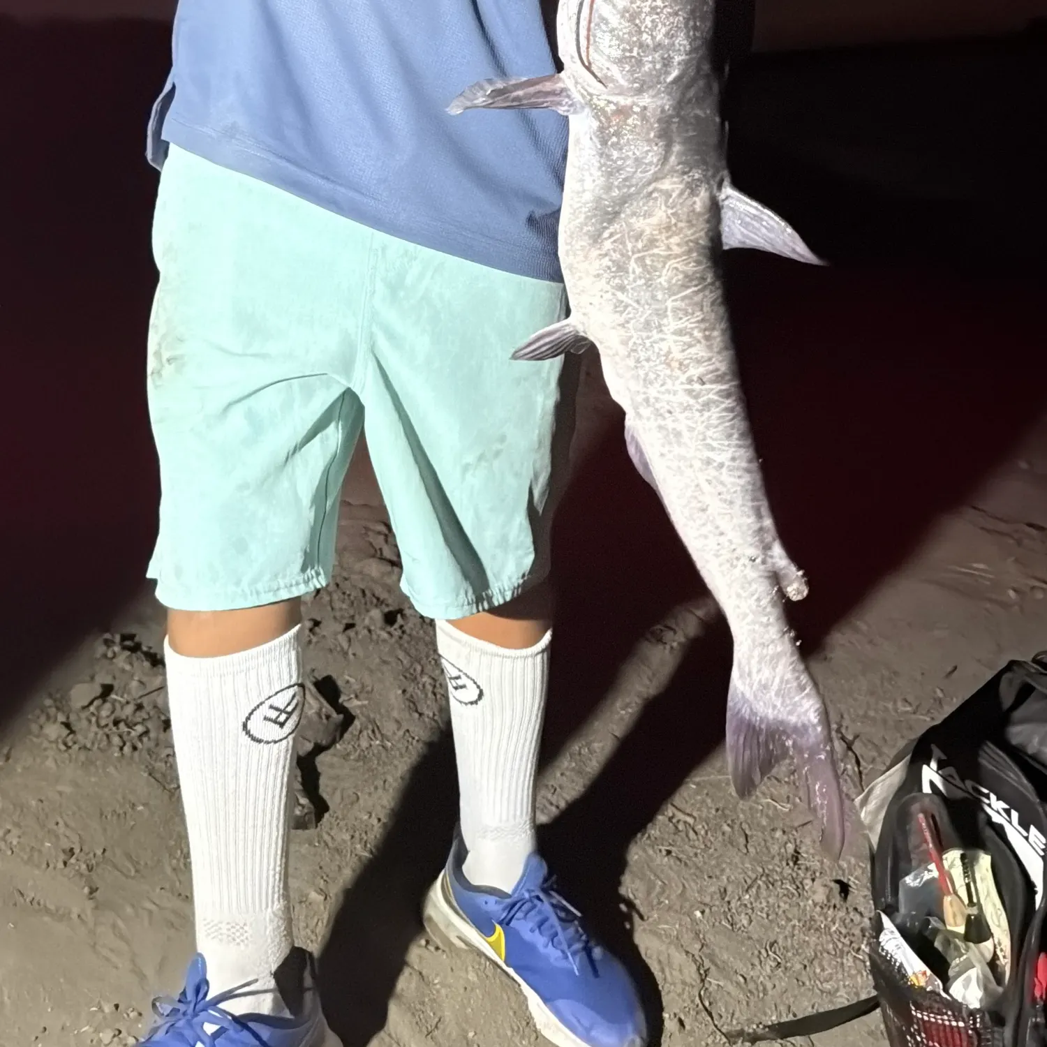 Channel catfish caught on Fishbrain