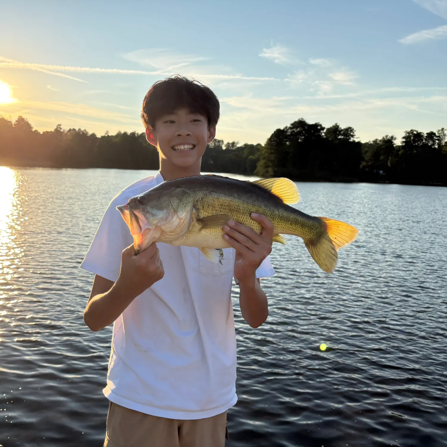 Largemouth bass caught on Fishbrain