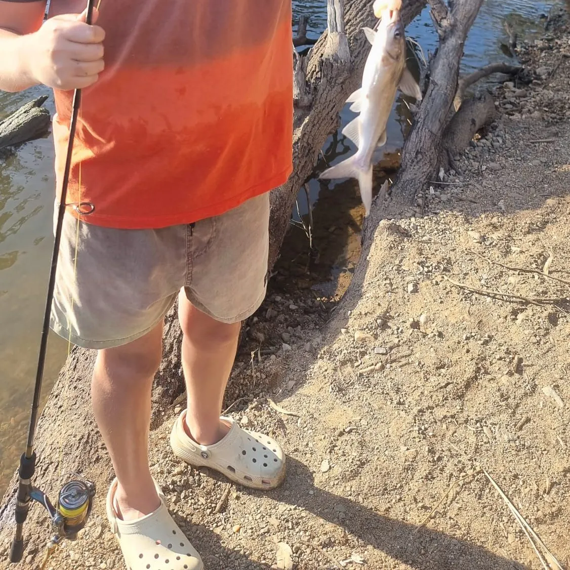 The most recent Blue salmon catfish catches on Fishbrain