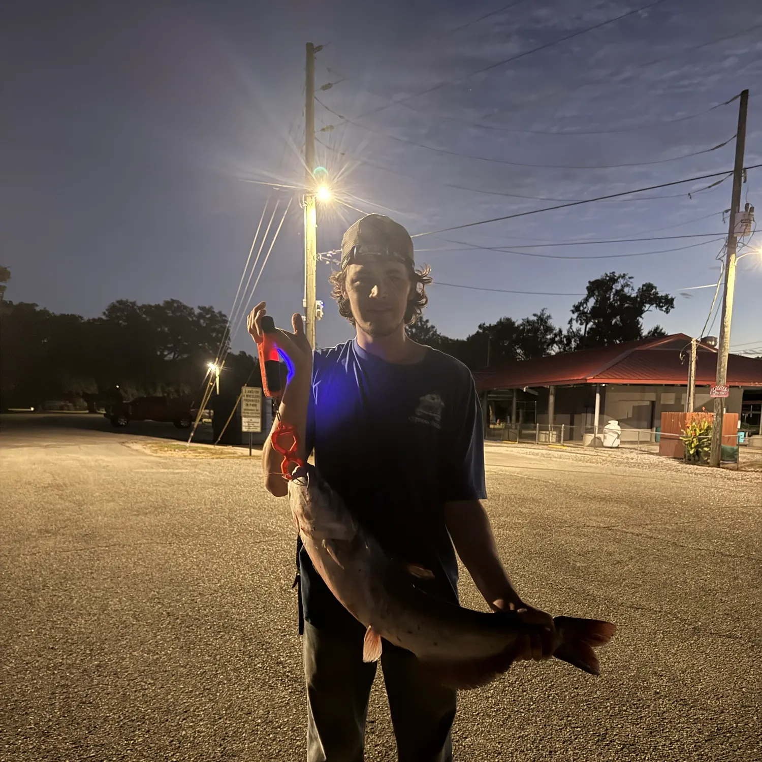 Blue catfish caught on Fishbrain
