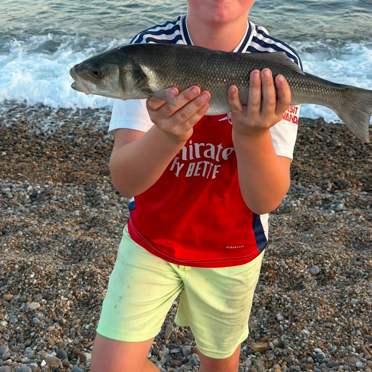 The most recent European seabass catches on Fishbrain