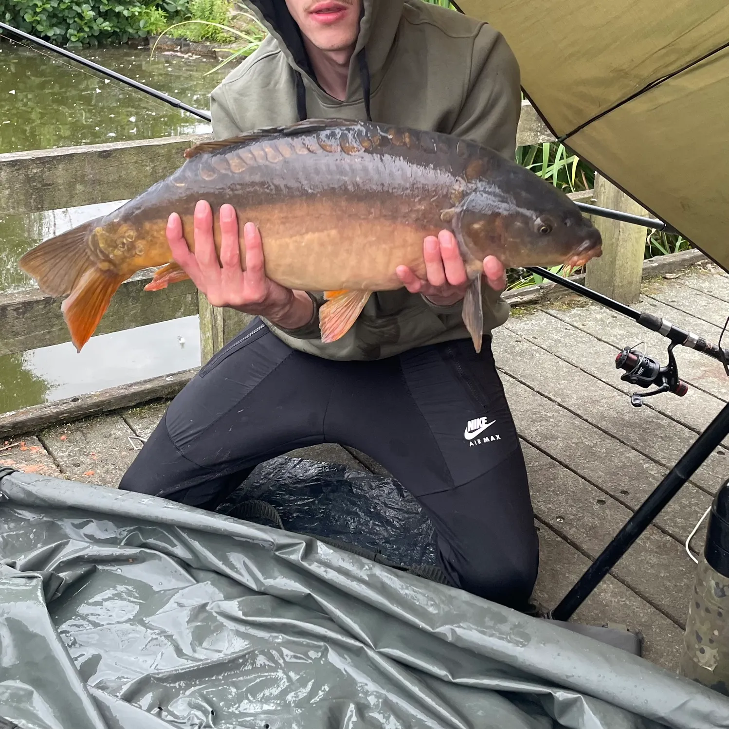 The most recent Leather carp catches on Fishbrain