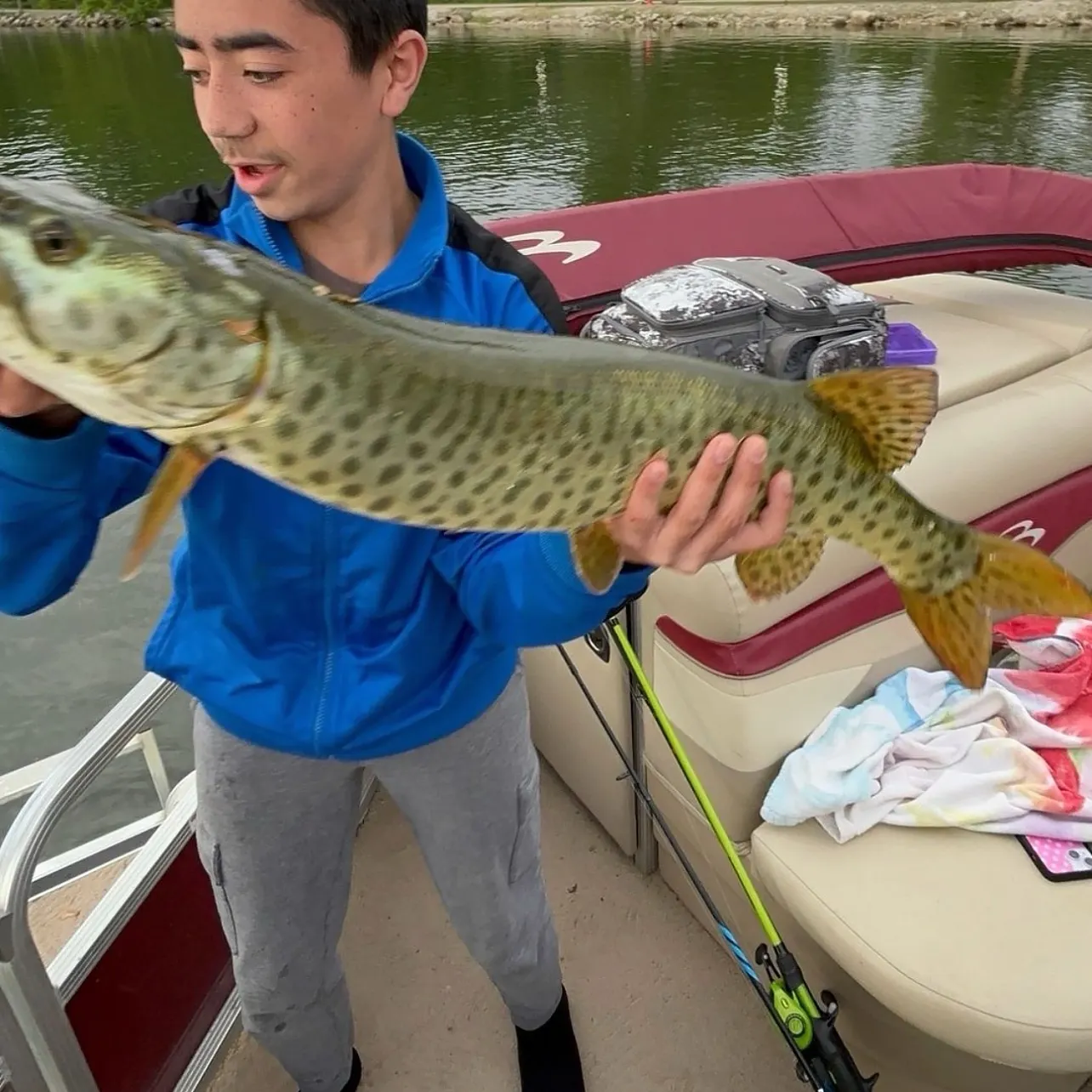 The most recent Muskellunge catches on Fishbrain