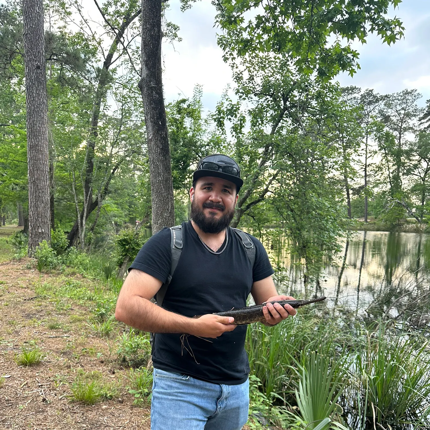 The most recent Spotted gar catches on Fishbrain