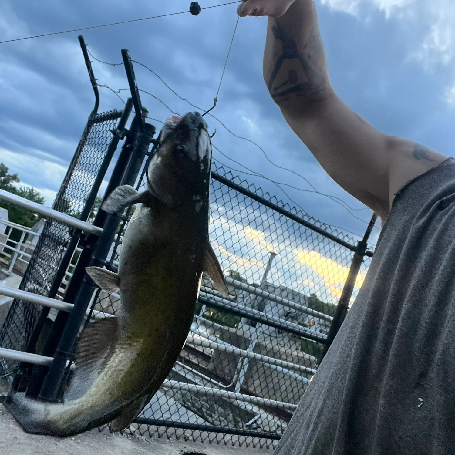 catch