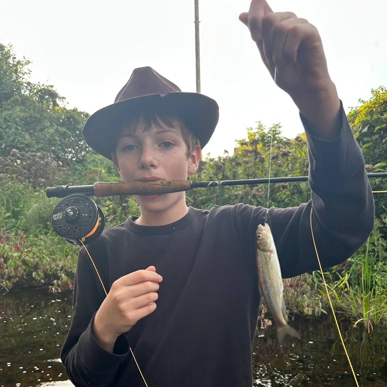 Creek chub caught on Fishbrain