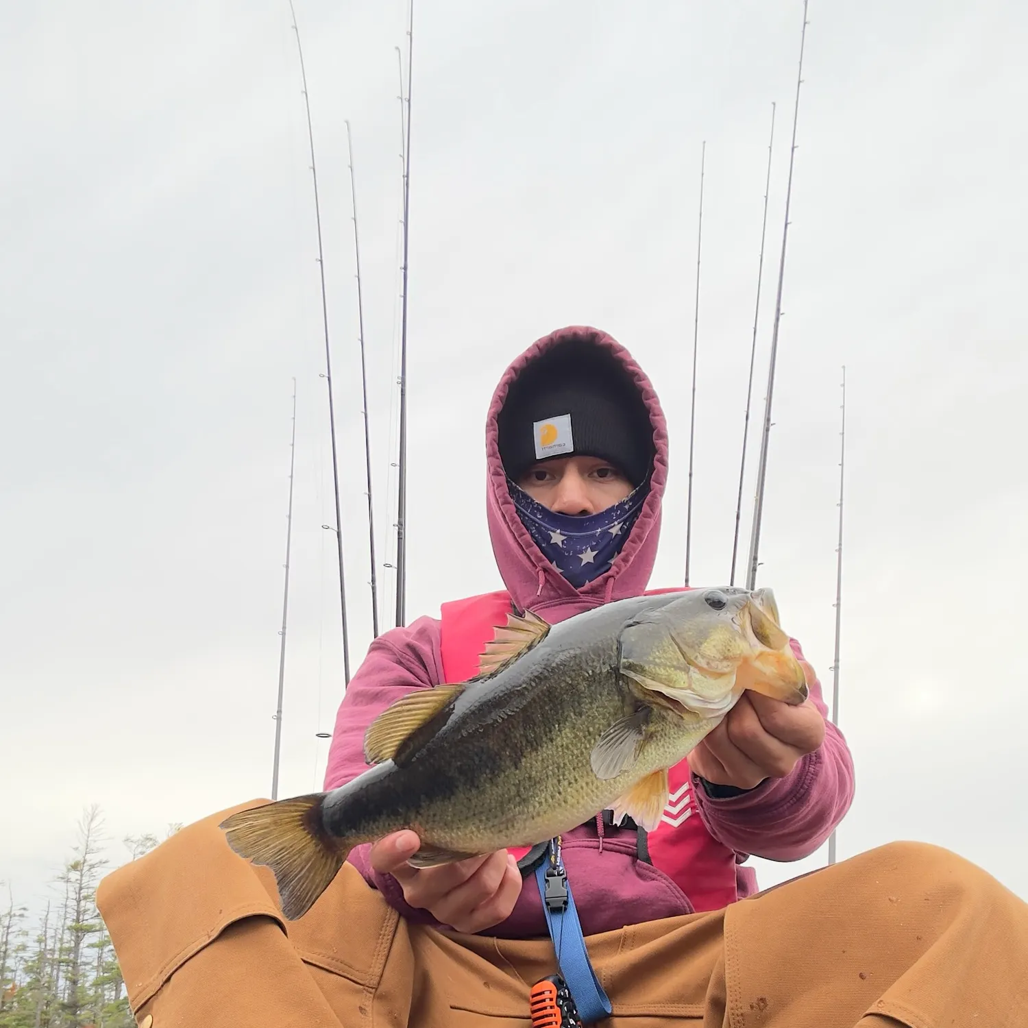 Largemouth bass caught on Fishbrain