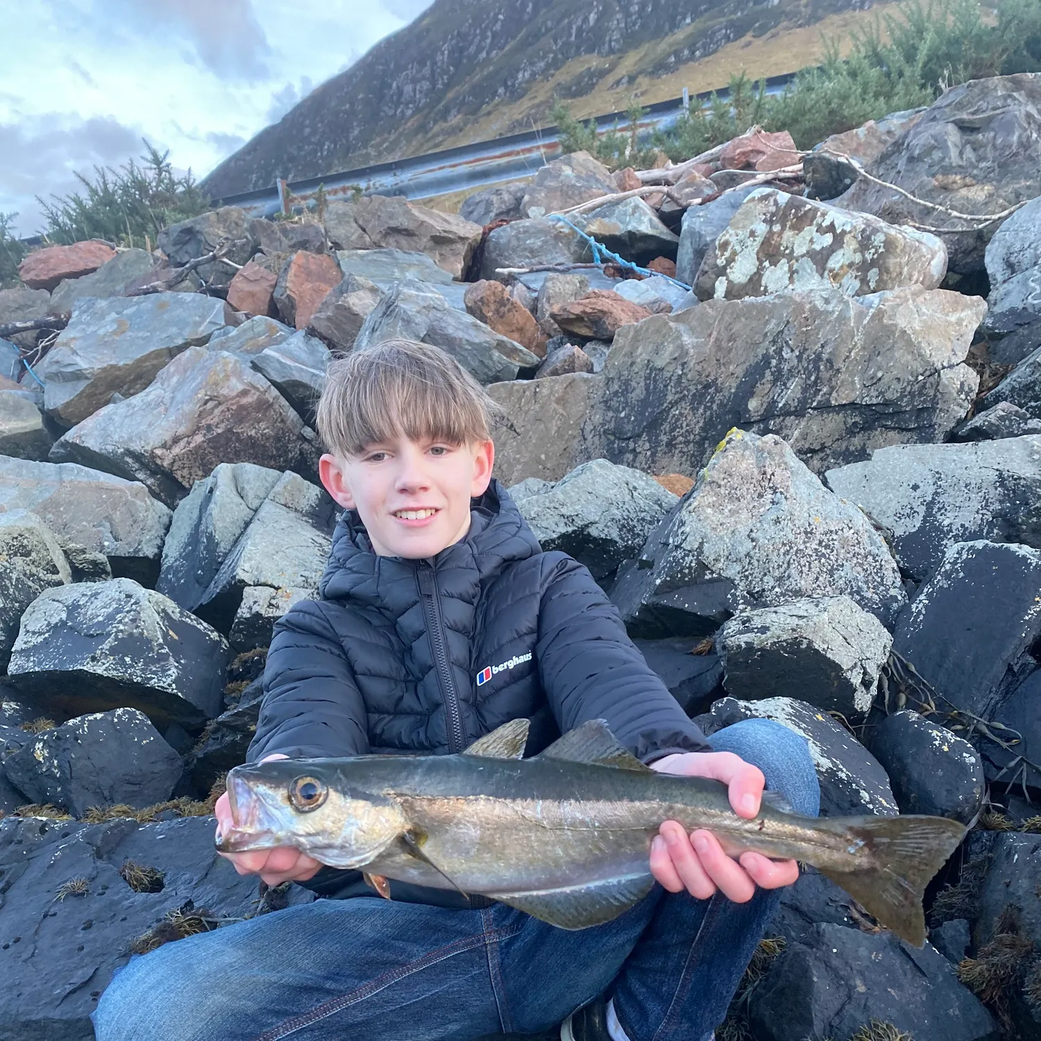 The most recent Pollack catches on Fishbrain