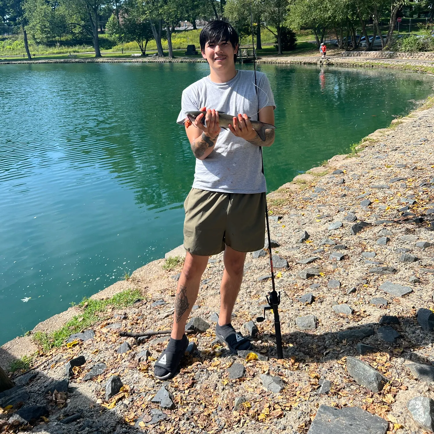 Channel catfish caught on Fishbrain