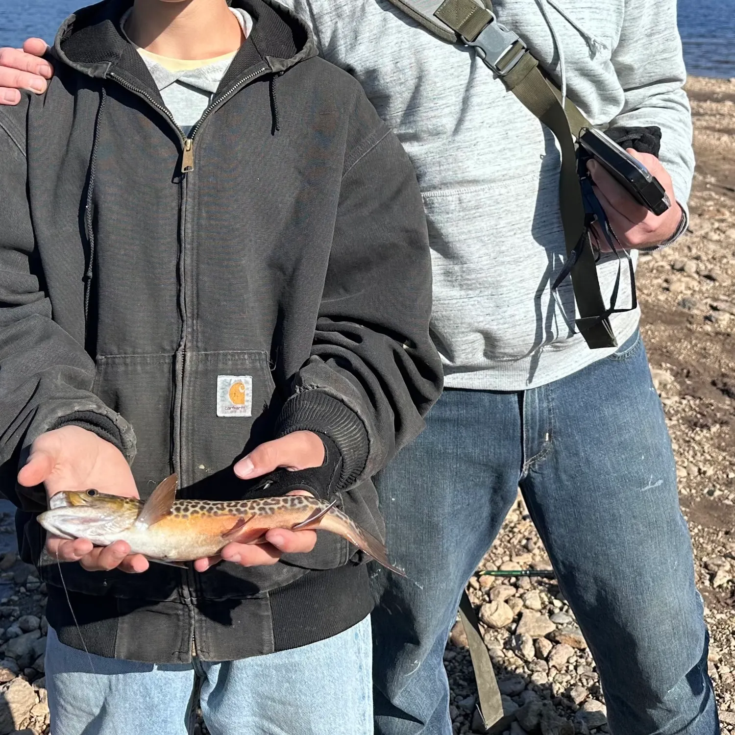 Tiger trout caught on Fishbrain