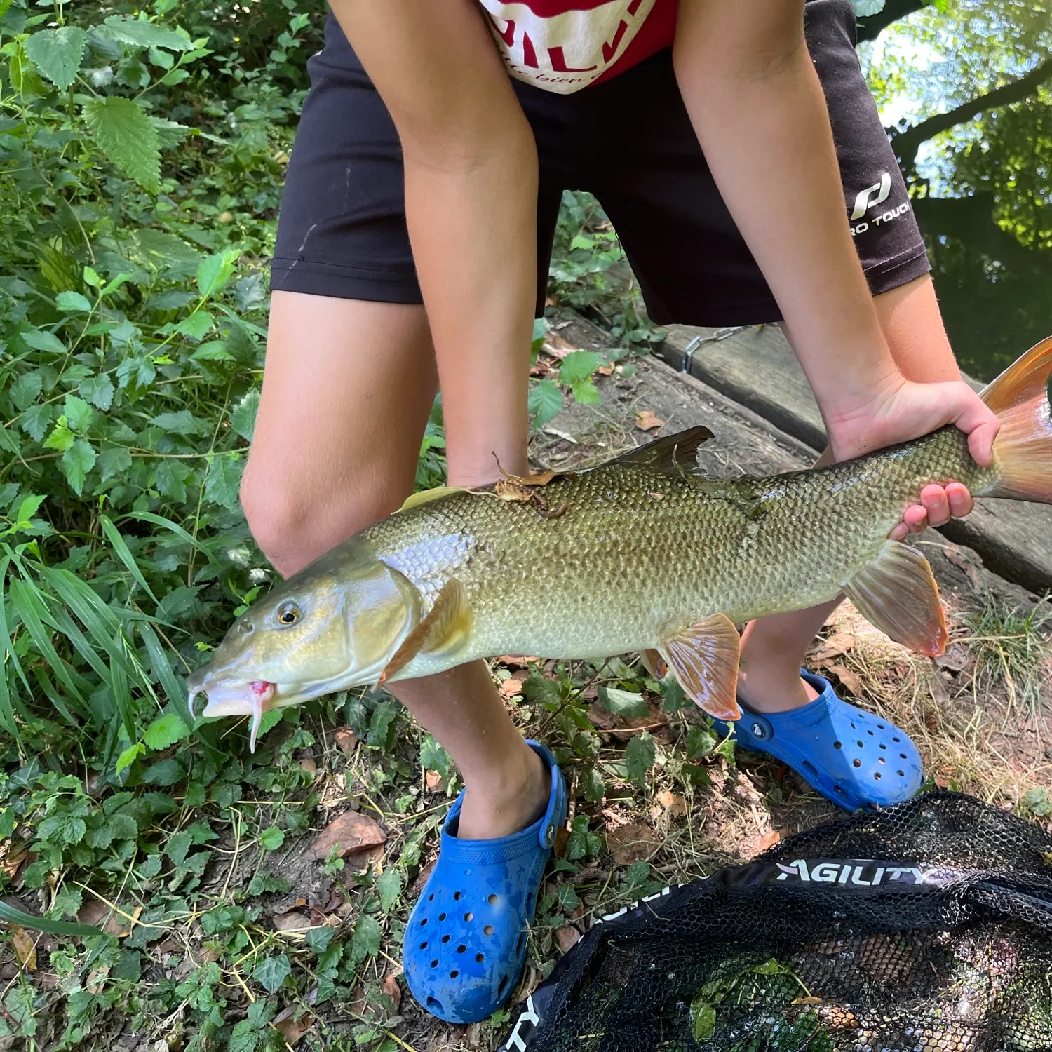most liked catch image