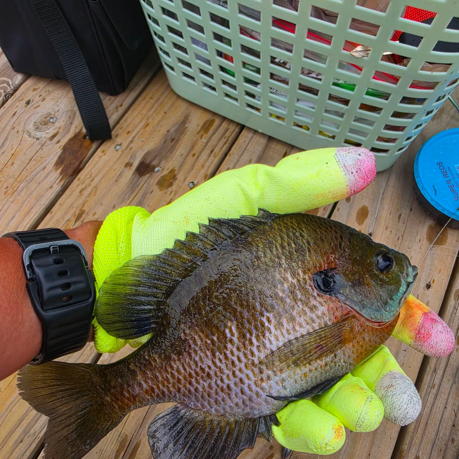 catch