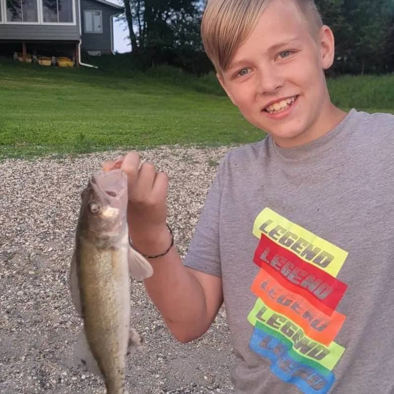 Walleye caught on Fishbrain