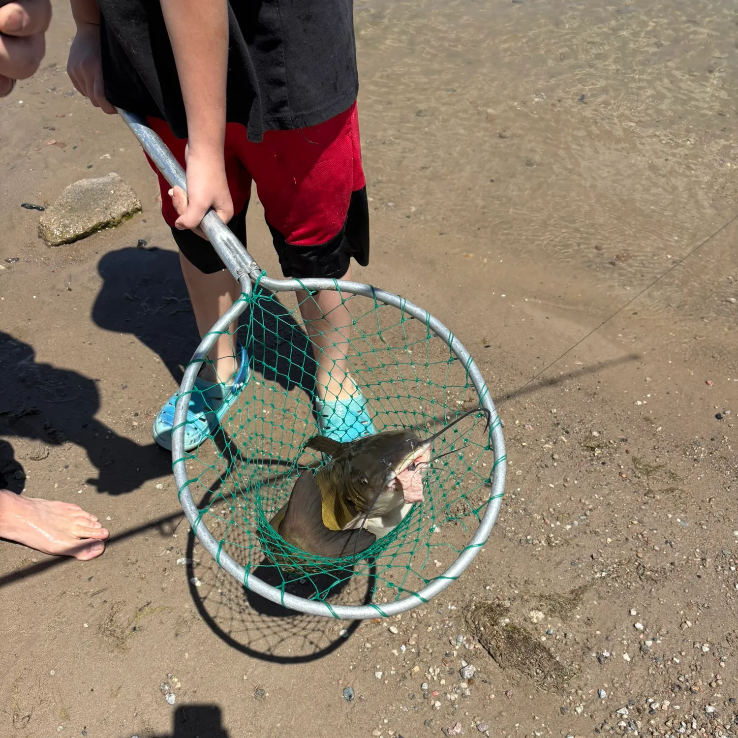 catch