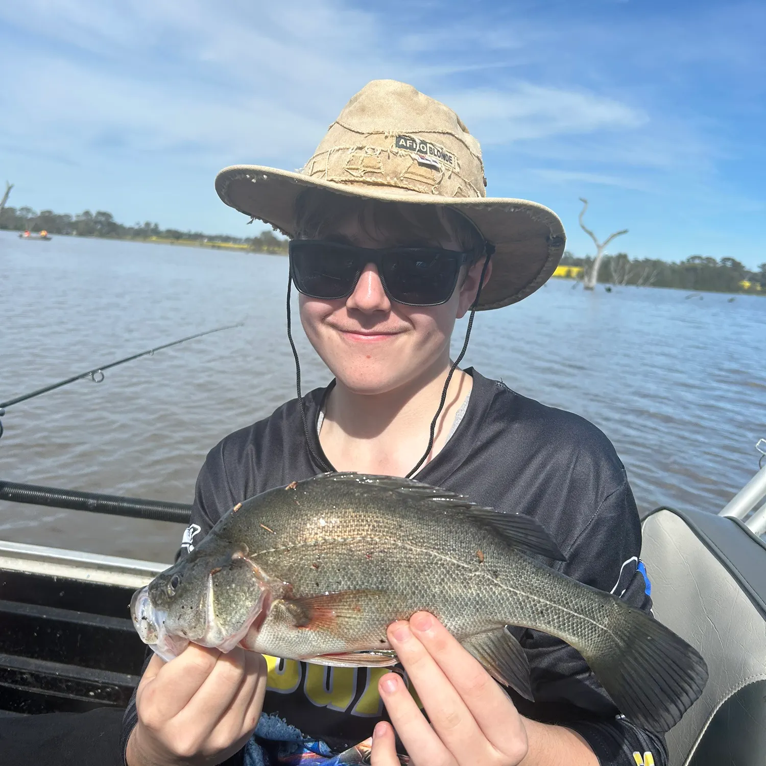 Golden perch caught on Fishbrain