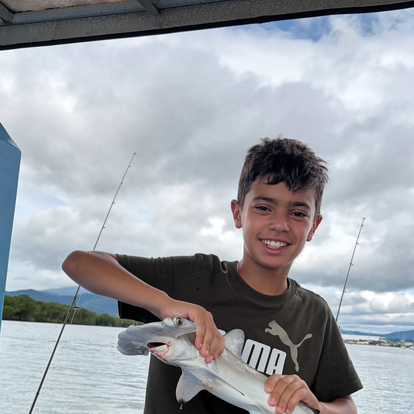 The most recent Scalloped hammerhead shark catches on Fishbrain