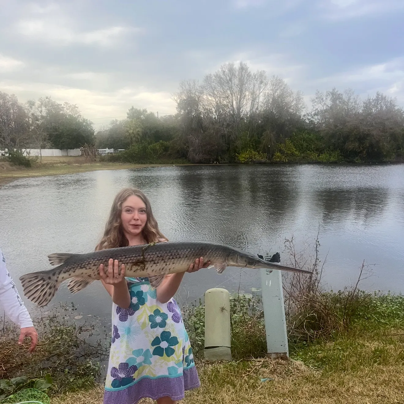 The most recent Longnose gar catches on Fishbrain