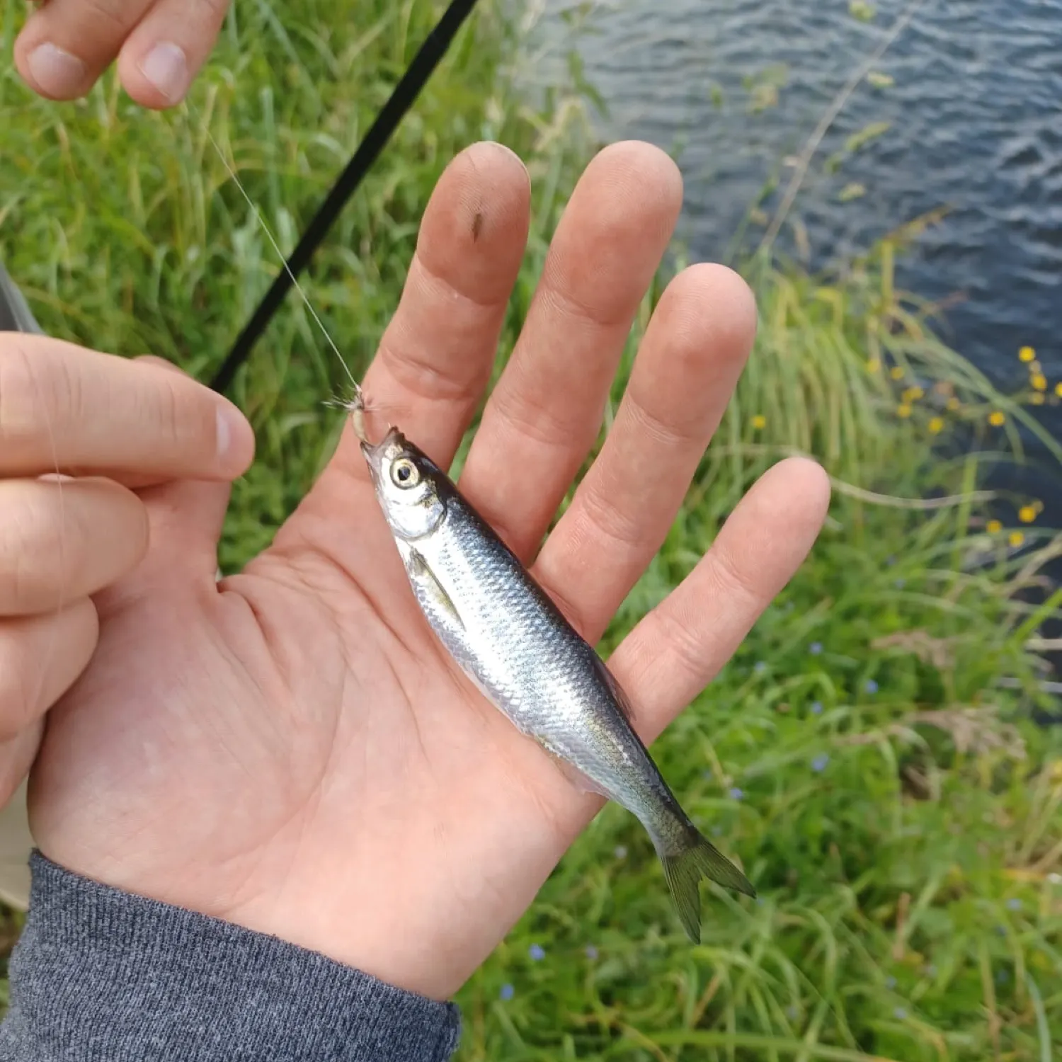 most liked catch image