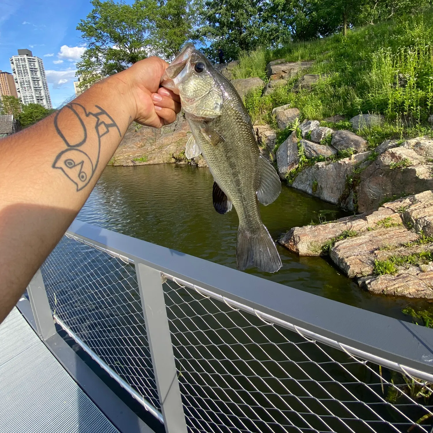 catch
