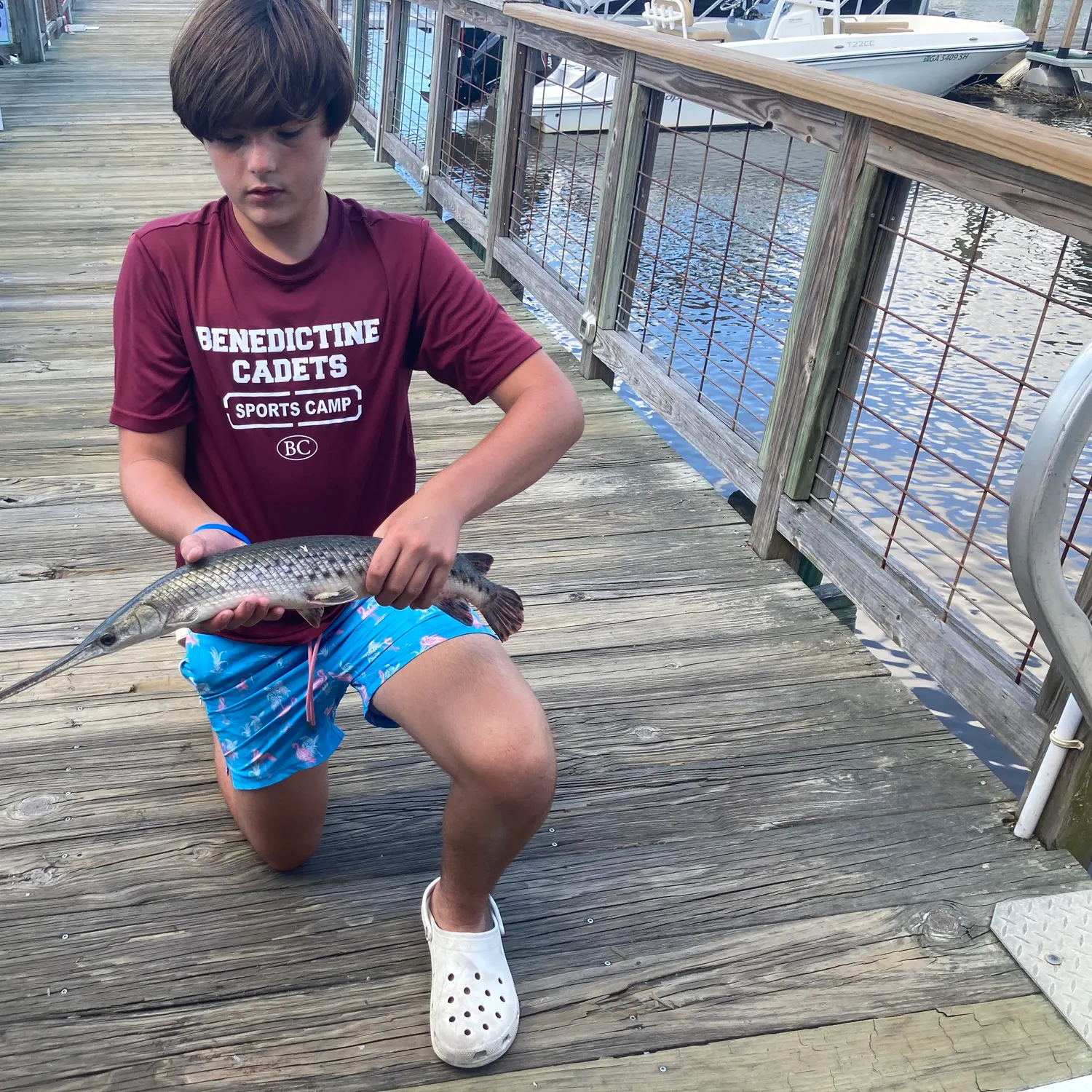 The most recent Spotted gar catches on Fishbrain
