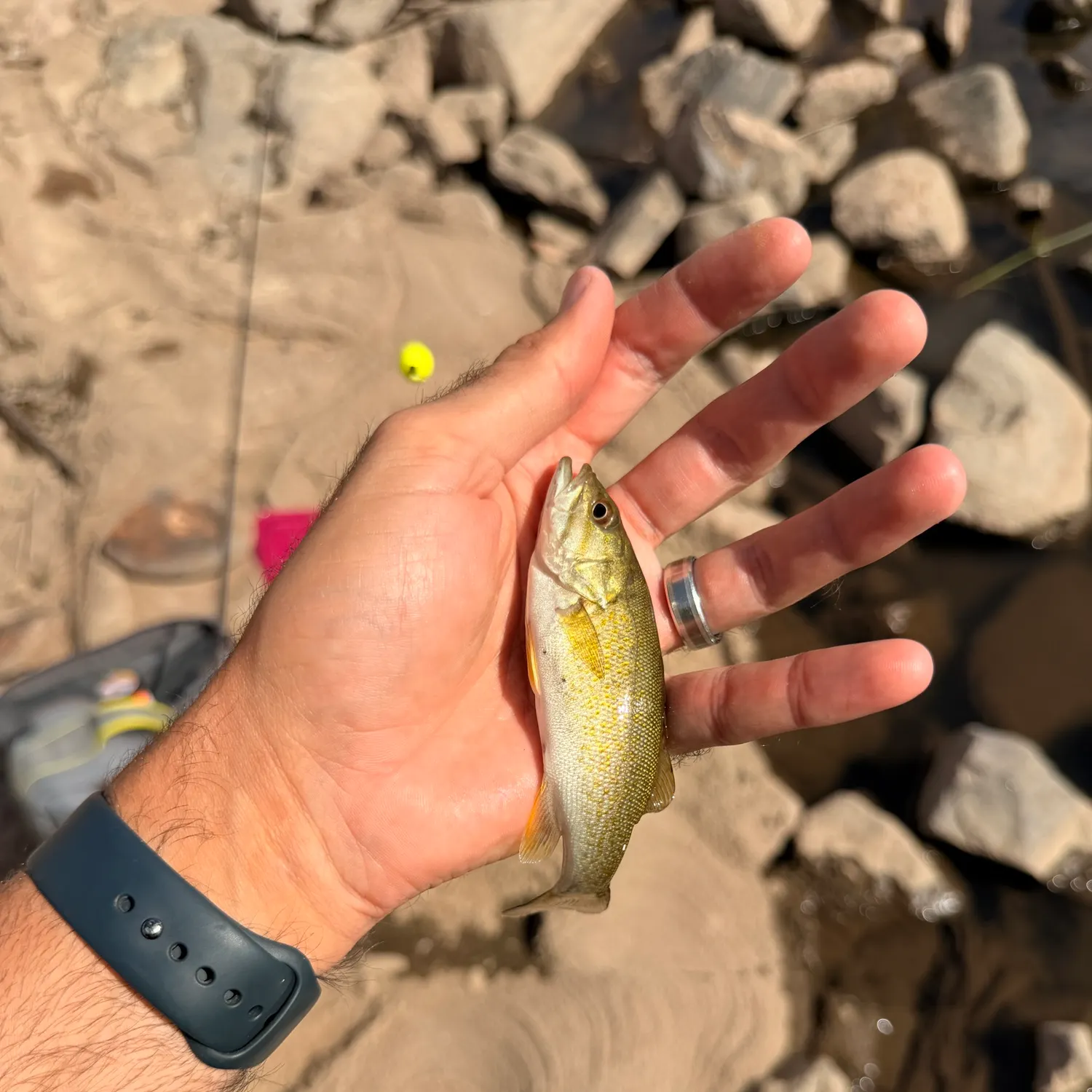 catch
