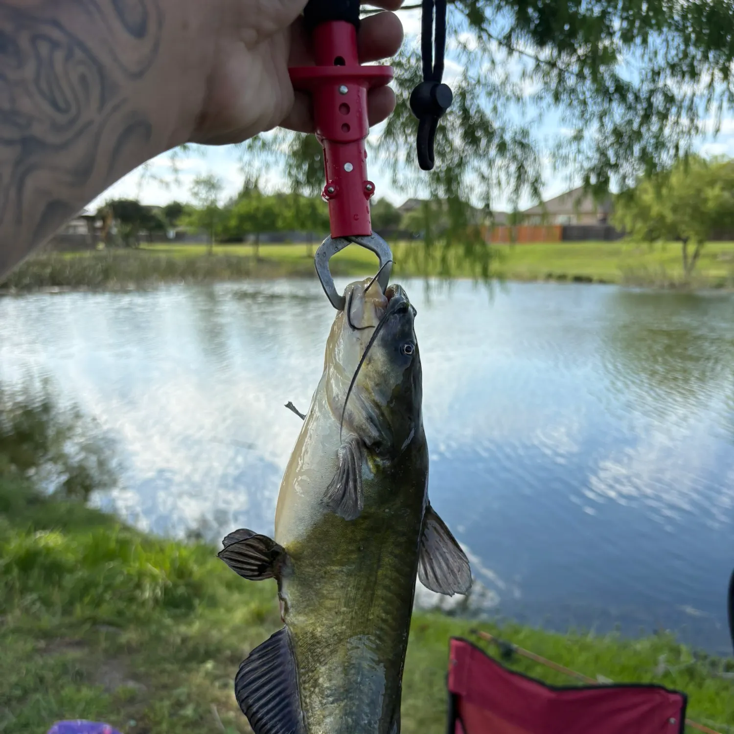 catch