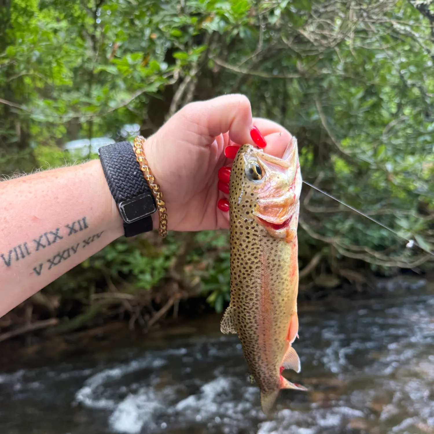 recently logged catches