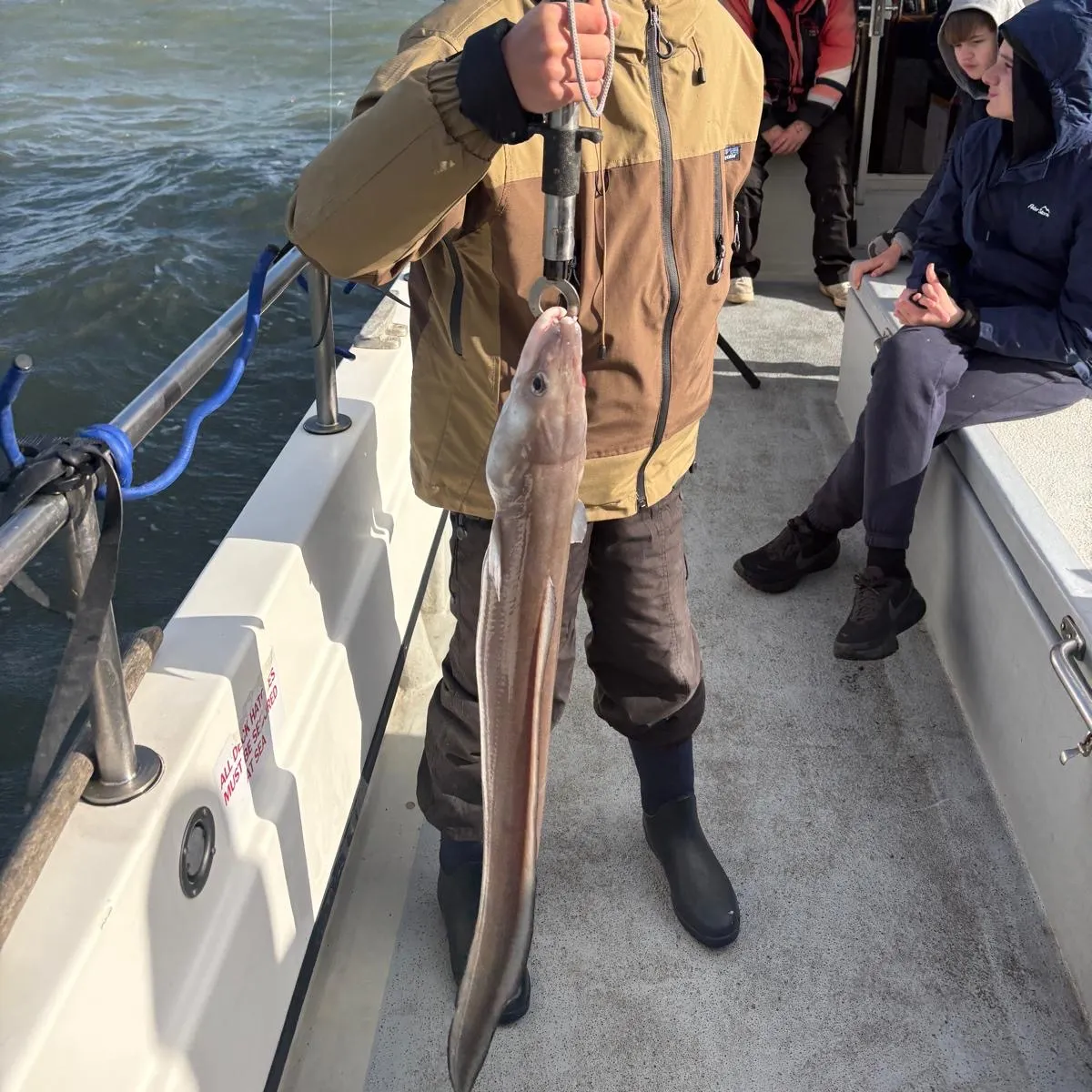 The most recent European conger catches on Fishbrain