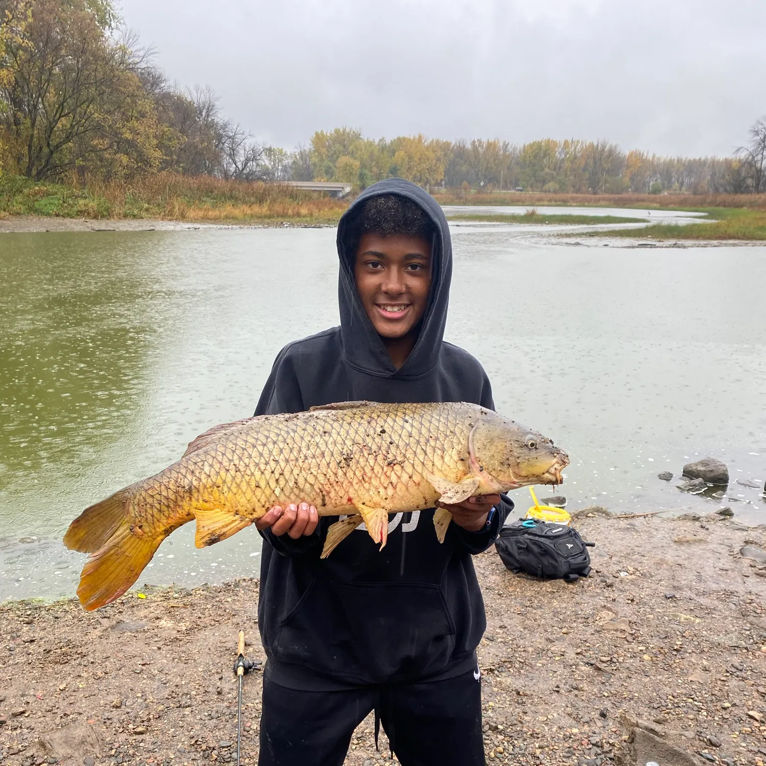 Common carp caught on Fishbrain