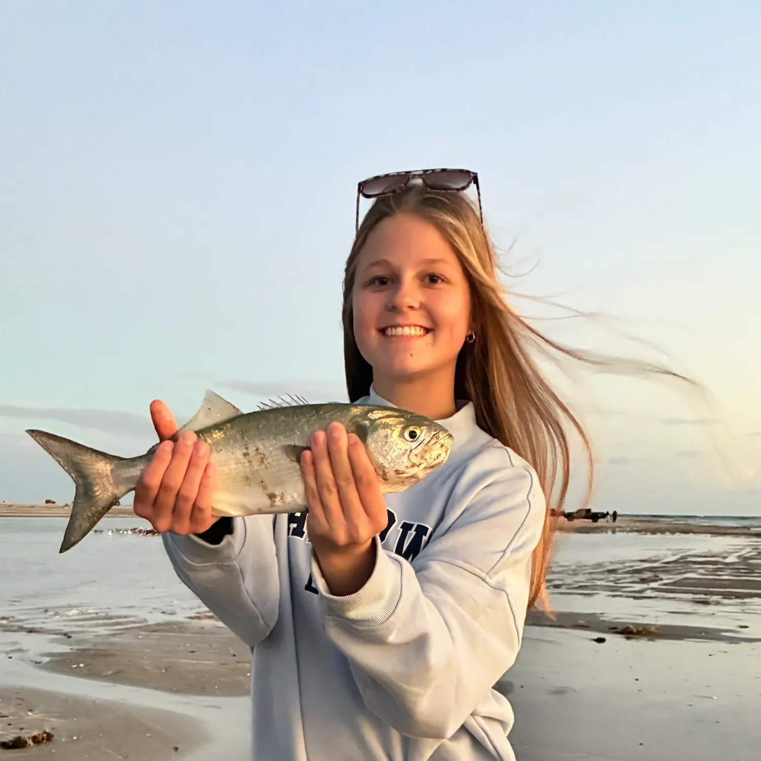 Bluefish caught on Fishbrain