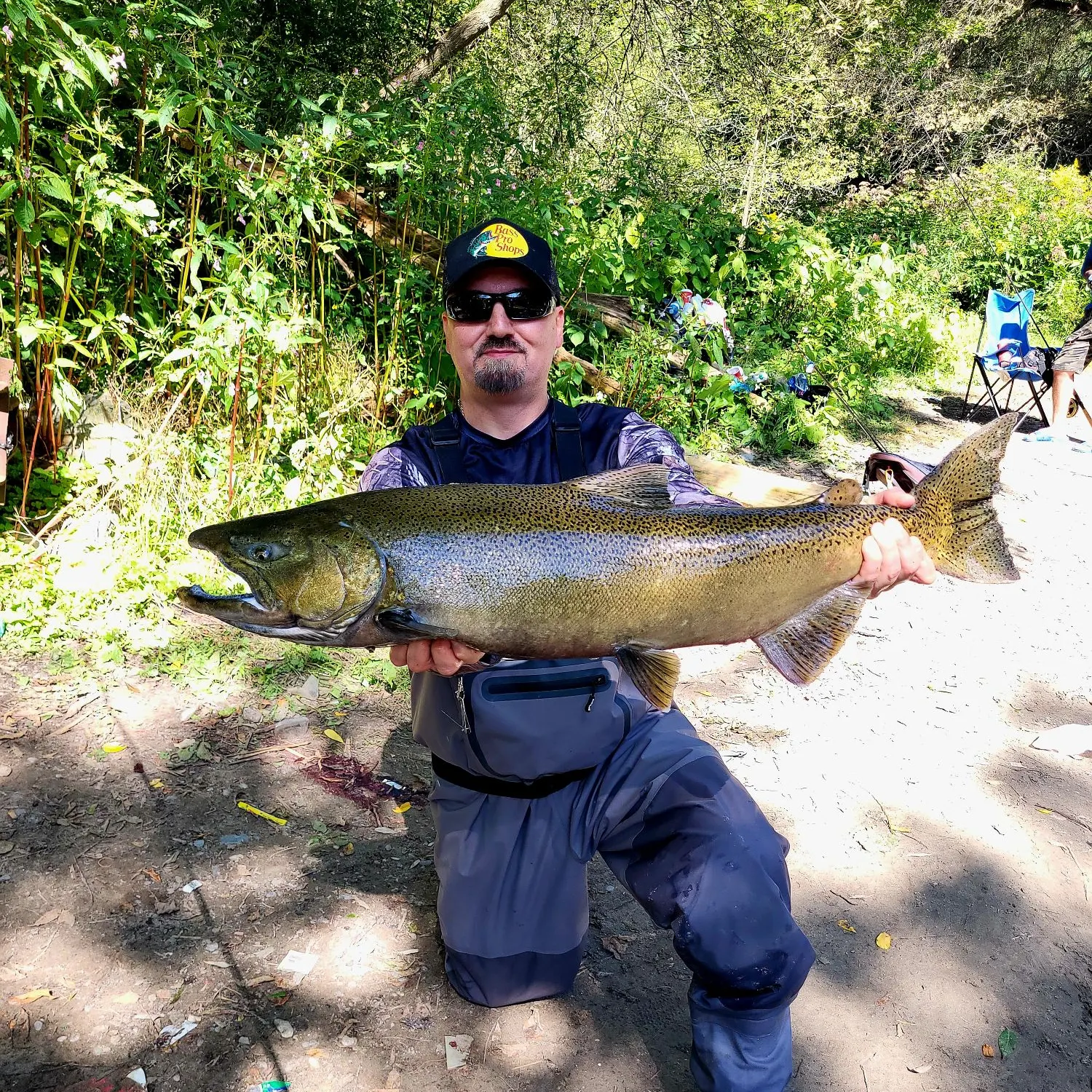 Chinook salmon caught on Fishbrain