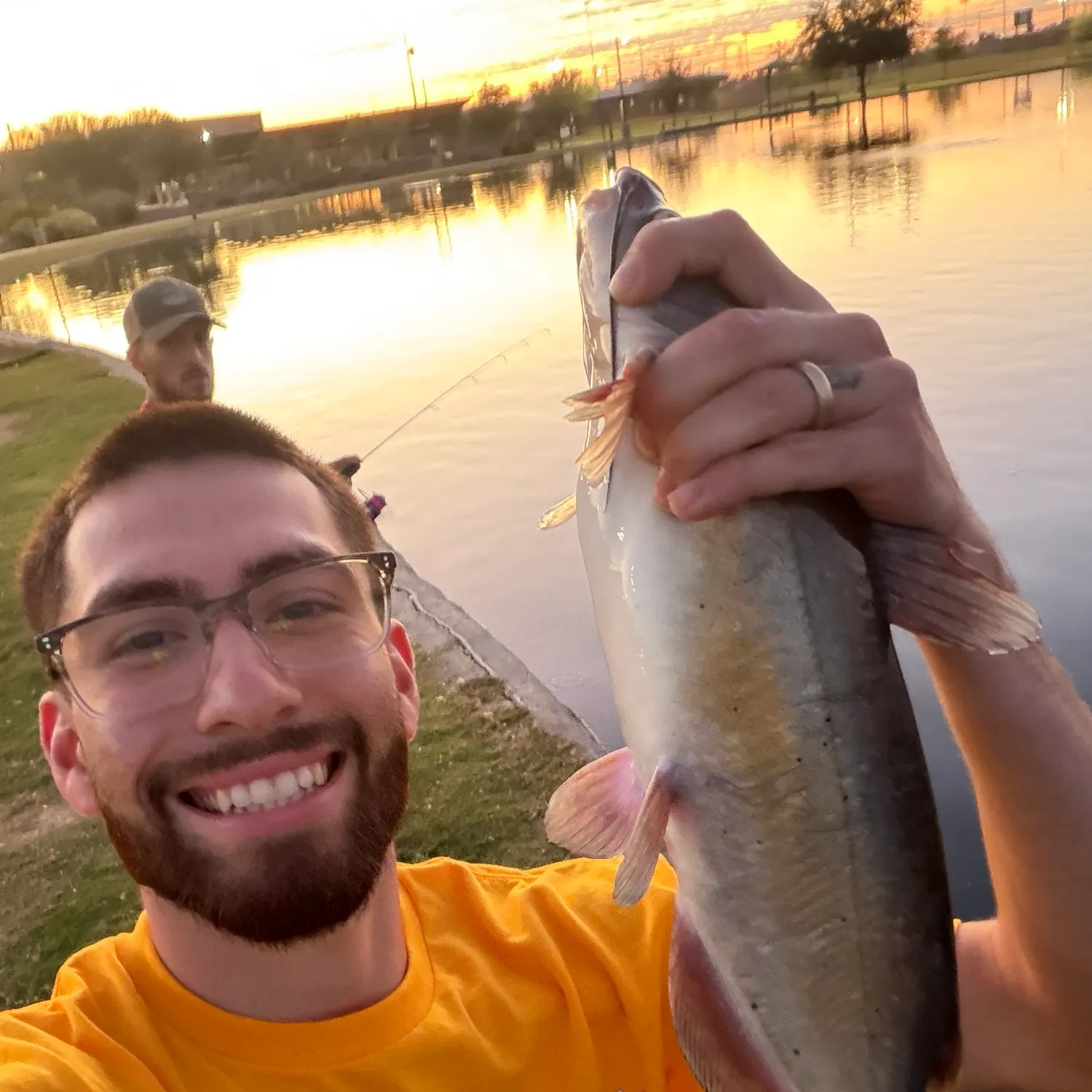 Channel catfish caught on Fishbrain