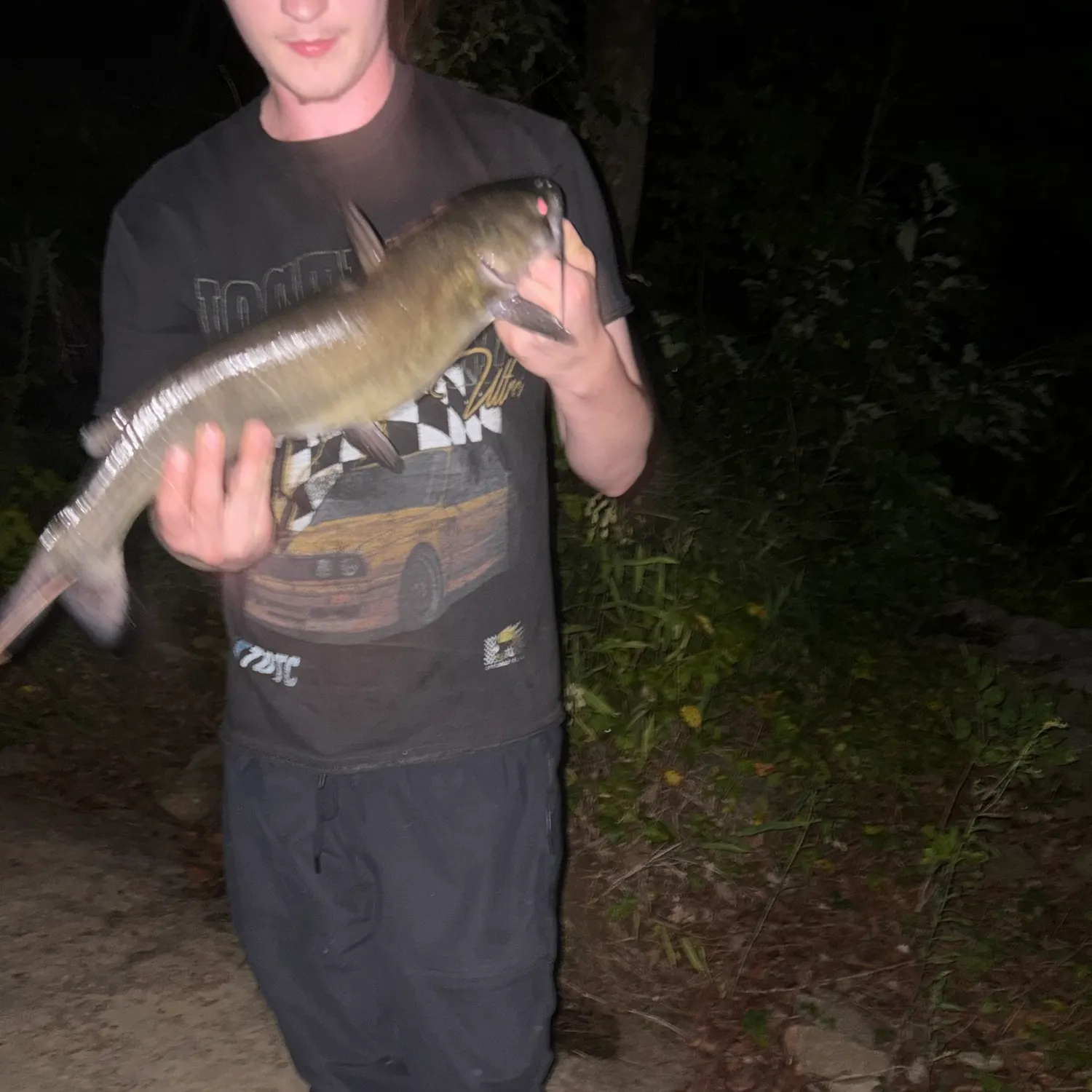 Channel catfish caught on Fishbrain
