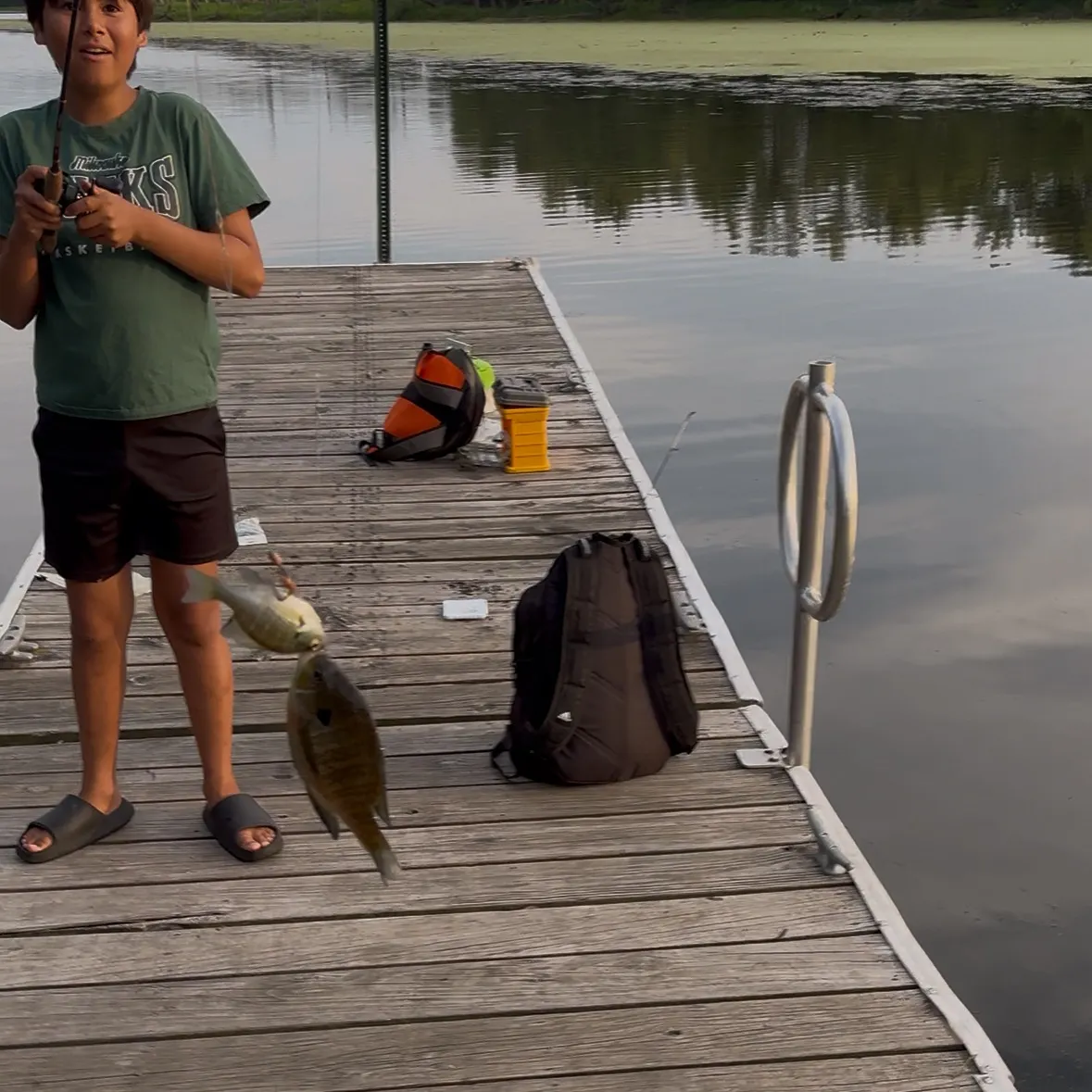 recently logged catches