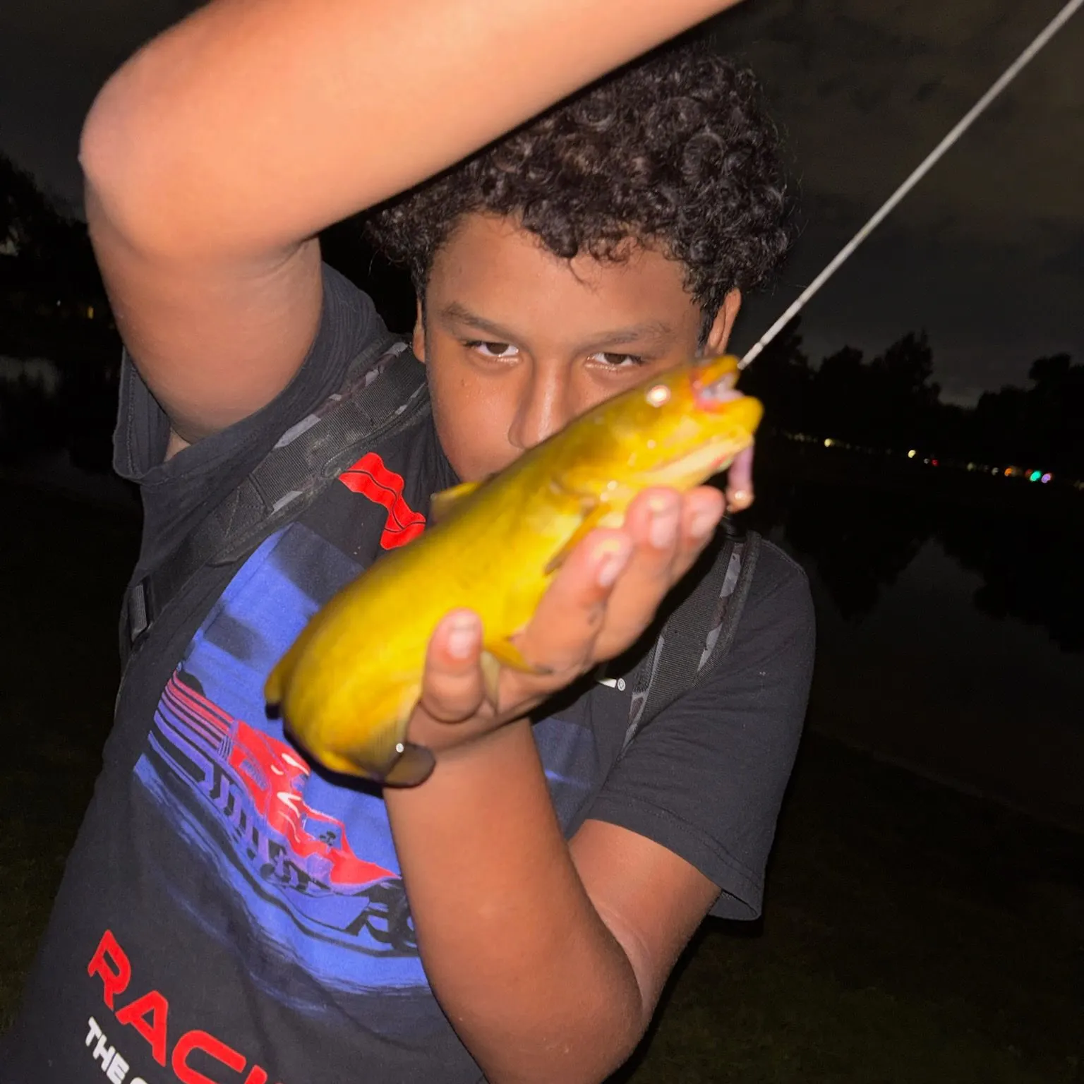 Yellow bullhead caught on Fishbrain
