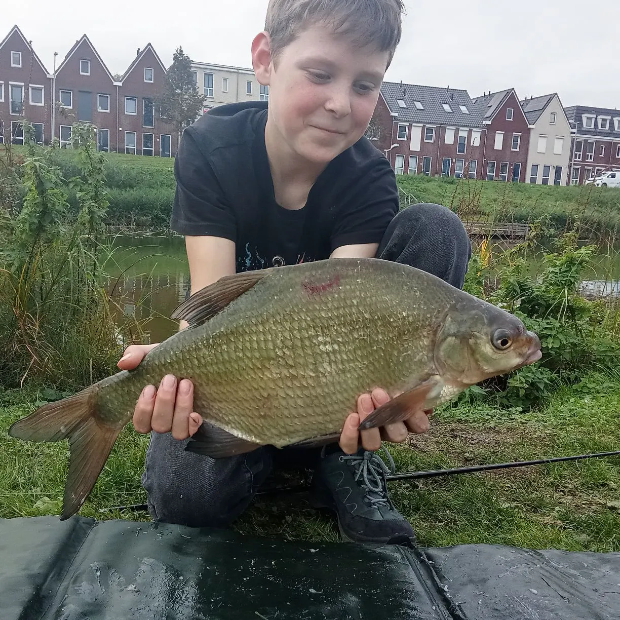 The most recent Common bream catches on Fishbrain