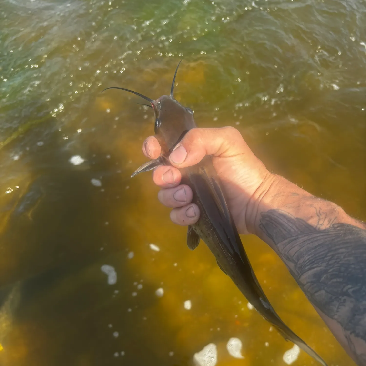 catch