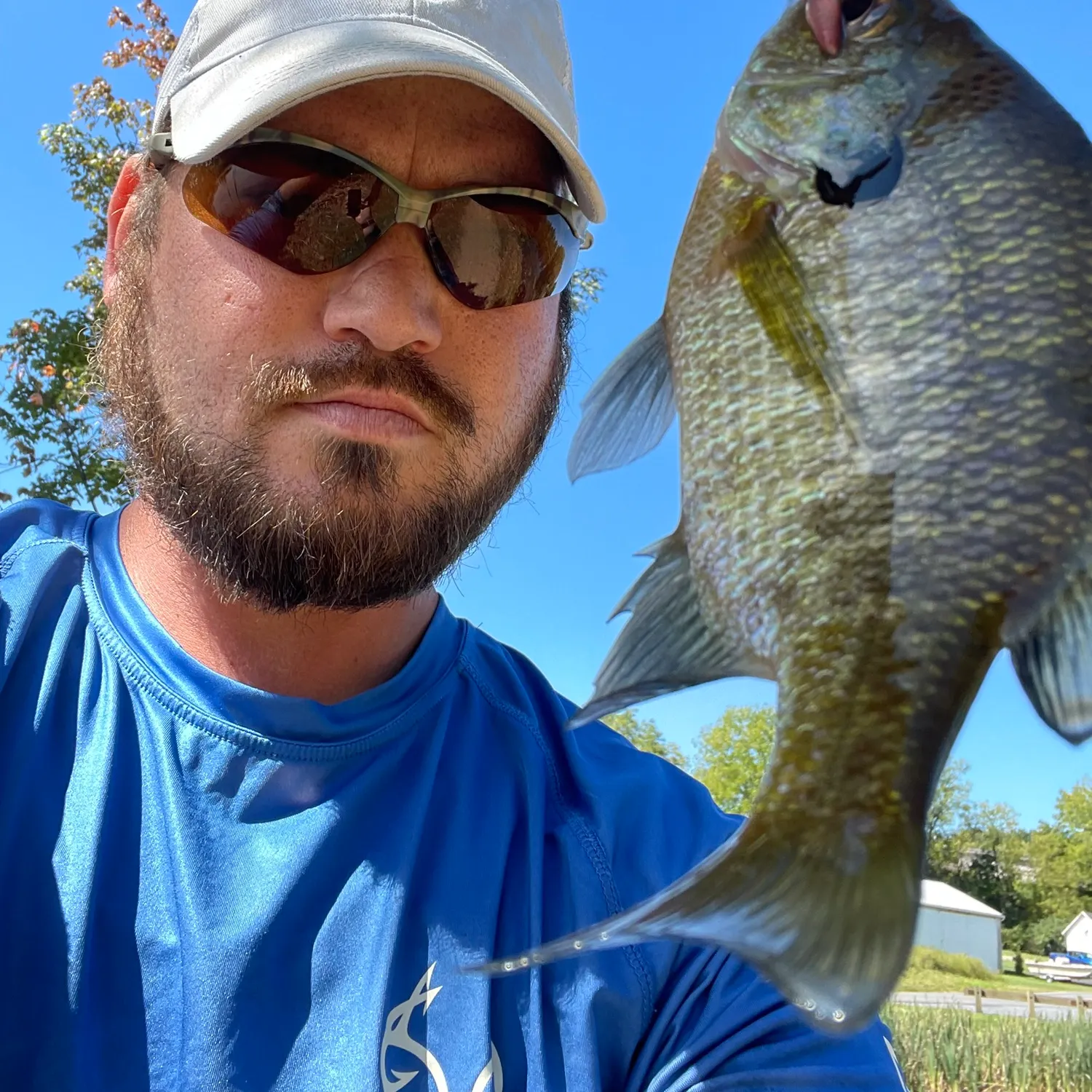 Bluegill caught on Fishbrain