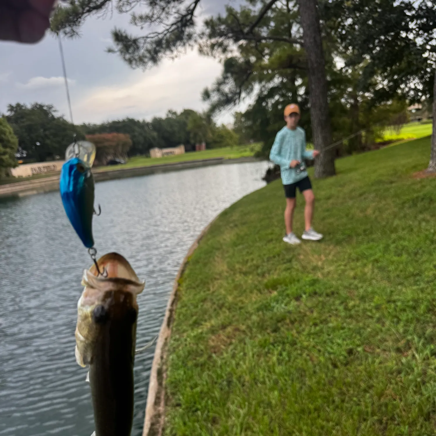 catch