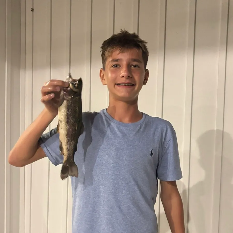 Rainbow trout caught on Fishbrain