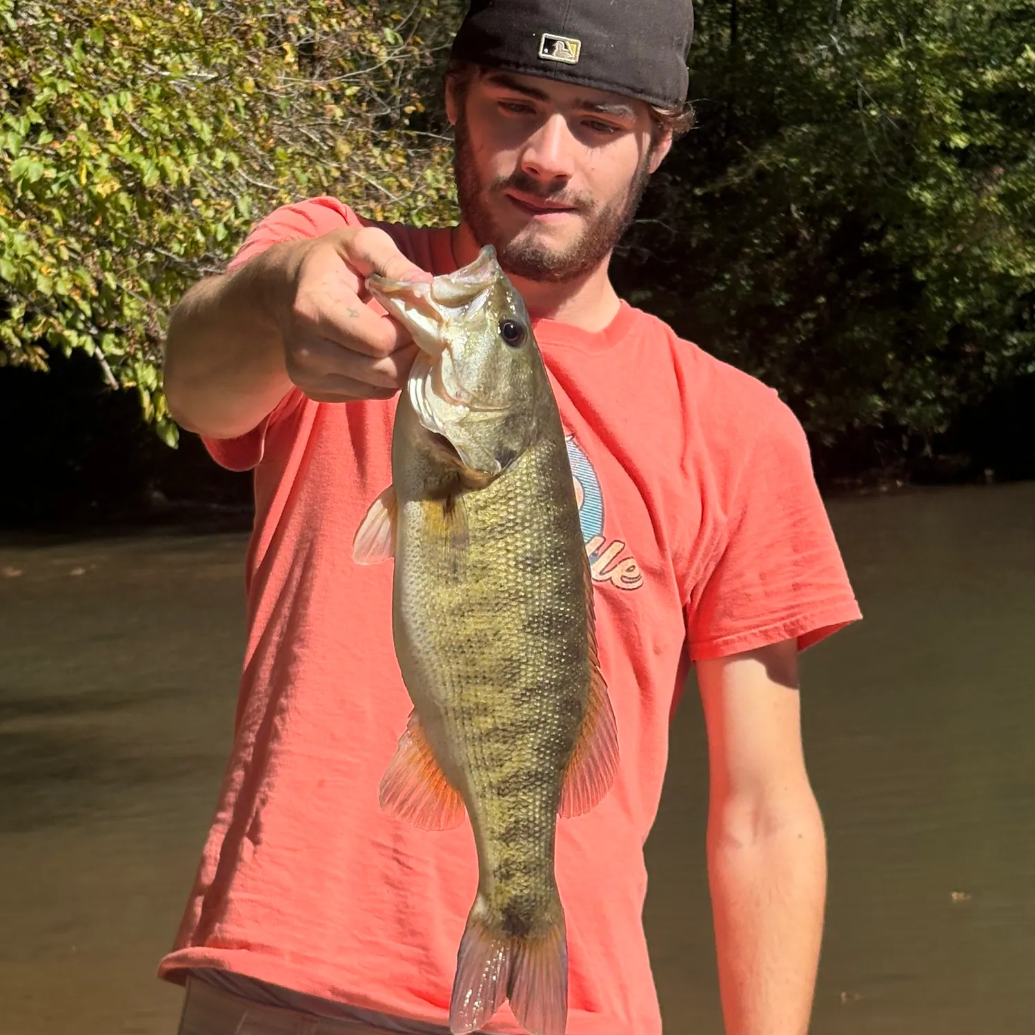 The most recent Shoal bass catches on Fishbrain