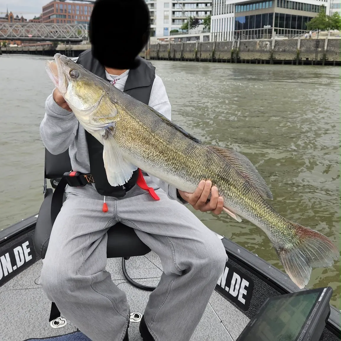 Zander caught on Fishbrain